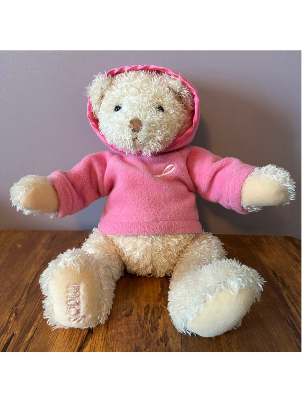 GUND Macy's Breast Cancer Awareness Teddy Bear Pink Hoodie Plush 10"